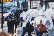 大雨の中自転車に乗ってたんだが、踏み切りで線路にはまって思いっきりすっころんだ。