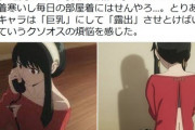【悲報】ツイフェミ、今度は「スパイファミリー」のヨルの部屋着に噛みつく。最近少しフェミさん活動的すぎない…？