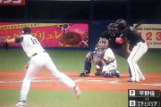 ロッテ井口監督、試合終了後に侮辱行為で退場wwwwwwww