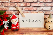 お前らサンタさんに何頼んだ？