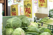 【悲報】野菜、ガチで高い