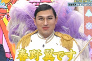 【日向坂46】今週のひなあい、春日さんのスター性、ひなの・ひよたんの成長、美穂の有能プレゼンなど見所多数の神回！！