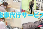 【！？】家事代行「月2回で17380円です」←これ正直どう思う？？？