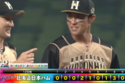 日ハム7得点で西武に大勝！木村が2戦連続犠飛！西川通算300盗塁！