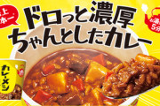 カレーメシはなぜ評価されないのか