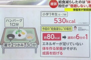 【悲報】小学校の女教師さん、罰として生徒の給食何度も減らしてしまう。終わりだよこの国
