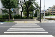 【朗報】ワイ無職、警察がネズミ取りやってる場所の近くの横断歩道を往復する遊びにハマるｗｗｗｗｗｗｗ