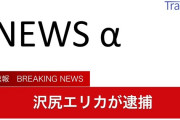 【速報】沢尻エリカ容疑者を逮捕　合成麻薬所持の疑い