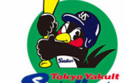 【急募】ここからヤクルトがV逸したときの名称