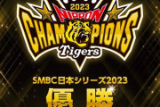 【速報】阪神優勝！阪神タイガースが38年ぶりの日本一！！！！！