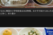「わびしすぎ！」「戦後か」の声も…物価高騰で学校給食のメニューが減少、量も半分の現実 |  なお政治家の昼食