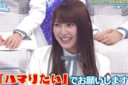 【日向坂46】おひさま、まさかの人物にハマっていたwwww