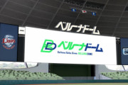 西武ドームのことをベルーナドームって呼ぶ奴なんなの？