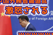 中国外務省報道官の趙立堅、ロックダウンで中国人に激怒されるｗ