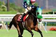 競馬界の名言・迷言・珍事と言えば