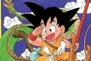 男でドラゴンボールとかハンターハンターのこと嫌いな人って生きづらそう