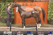 【セレクトセール2025】ゴーイングトゥベガスの2025(父イクイノックス)が45,000万円で落札　他