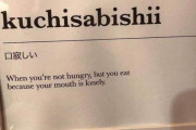 海外「アメリカに無いのが不思議な日本語『口寂しい』」