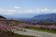 山梨県「首都圏です、武田信玄人気あります、富士山あります、富士急あります、ほうとう美味しいです」