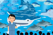 27歳ニートやけど6月から都内の水族館で接客することになった