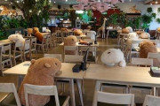 【画像】コロナ対策でぬいぐるみに占拠されたレストランがヤバすぎると話題にｗｗｗｗｗ