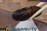 【閲覧注意】有澤一華氏、巨大な芋虫を喰らう