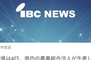 【悲報】国産米、ヤバいｗｗｗｗｗｗｗｗｗｗｗ