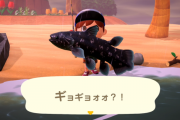 あつまれどうぶつの森 ゲームを始めて46日目にして遂にシーラカンスが釣れました