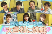 【日向坂46】ひなあいからまさかの逆輸入！？関谷Dも大活躍の『内村さまぁ～ず #386』を視聴したおひさまの感想がこちら！
