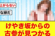 【日向坂46】けやき坂の時からファンだった古参が見つかる
