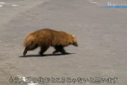 【画像】島根県、おわりｗｗｗ