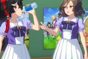 【ウマ娘】メイケイエールちゃんがカノープスに入りそうなんだっけ
