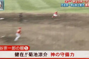 【動画】昨日の菊池涼介のオープン戦の守備が凄すぎるωωωωωωωω