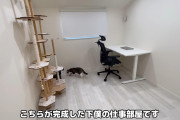 【速報】もちまる日記の飼い主、まだ普通に働いてる
