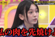 池田瑛紗ちゃんのテレハラわろたｗｗｗ【乃木坂46】