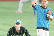 加藤豪将、もう日本ハムファイターズに馴染むｗｗｗｗ