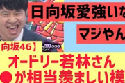【日向坂46】若林さん○○が本当に羨ましい模様www