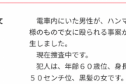 電車にハンマー女、男性殴られる。