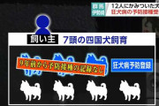 群馬で子供12人を噛んだ犬、狂犬病の予防接種をしていなかった