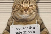 【画像】ネッコ、逮捕される。