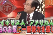 【画像あり】欧米人「女はやっぱケツだよなw」日本人「んほ～おっぱいたまんね～♥」