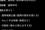 岩手観光行くんだが