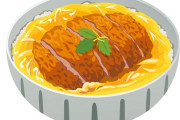【酷評】ワイが作ったカツ丼どう思う？？？