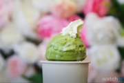 海外「日本で抹茶アイスが好きになった！」海外で紹介されたアイスのフレーバートップ20を見た海外の反応