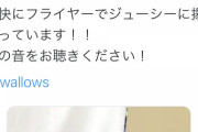 【朗報】つば九郎の唐揚げ、うまそう