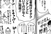 最近の30代の趣味「ゲーム！アニメ！漫画！推し活！」→ガチで幼稚化してしまうwww