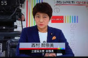 立憲民主党、反撃能力保有に反対　「反撃したら敵国からさらに大きな反撃を受ける」