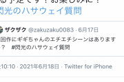 【悲報】オタク「閃ハサ次回作にえちえちシーンある？」公式「あるよ！お楽しみに！」→大炎上ｗｗｗｗｗｗ