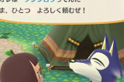 【あつまれどうぶつの森】ブンジロウの違和感がすごい…こんなだったっけ？