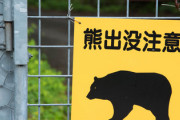 クマ専門家「絶対に逃げないで。追いかけてきます。動かないと運が良ければ助かるかも。」